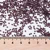 MIYUKI Round Rocailles Beads X-SEED-G009-RR2402-4