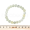 Natural Prehnite Round Beaded Stretch Bracelets for Men Women BJEW-G743-01F-5