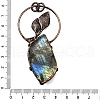 Brass Pave Natural Labradorite Feather Ring with Leaf Big Pendants G-Q350-04A-3