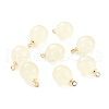 Opaque Resin Charms PALLOY-C157-16-1