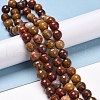 Natural Carnelian Beads Strands G-E571-10C-4