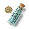 2Pcs Transparent Glass Wishing Bottle Decoration PALLOY-JF03374-3