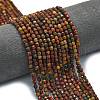 Natural Picasso Stone/Polychrome Jasper Beads Strands G-A260-A24-01-1