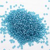 8/0 Glass Seed Beads X-SEED-J012-F8-119-2