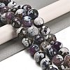 Natural Fire Crackle Agate Beads Strands G-L595-A02-01H-1