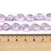 Transparent Glass Beads Strands GLAA-H038-03D-4