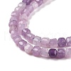 Natural Lepidolite/Purple Mica Stone Beads Strands G-C009-B16-4