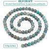 Olycraft 5 Strands Natural Black Agate Beads Strands G-OC0003-27-4