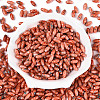 Baking Paint Glass Seed Beads SEED-N008-06D-2