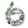 Natural Tree Agate Round Gemstone Beads Strands G-R255-10mm-5