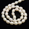 Grade AAA Natural Cultured Freshwater Pearl Beads Strands PEAR-L001-C-09-3