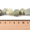 Natural Prehnite Beads Strands G-S386-C04-5