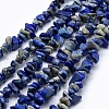 Natural Lapis Lazuli Beads Strands G-P332-12-1