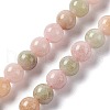 Natural White Jade Imitation YanYuan Agate Beads Strands G-I334-03A-2