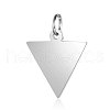 Anti-Tarnish 304 Stainless Steel Pendants STAS-I311-22P-1