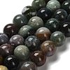 Natural Indian Agate Beads Strands G-G175-A06-01-2