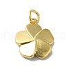 Rack Plating Brass Enamel Charms KK-O142-56G-01-2