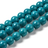 Natural Howlite Beads Strands G-B049-E01-01B-1