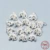 925 Sterling Silver Charms STER-T002-88S-3
