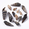Natural Spiral Shell Beads SSHEL-S258-85-2