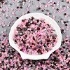 Frosted Glass Seed Beads SEED-N007-21A-2