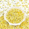 Glass Seed Beads SEED-N007-13B-2