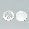 Freshwater Shell Pendants SHEL-Q016-020P-3