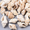 Natural Spiral Shell Beads SSHEL-S258-75-1