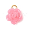 Opaque Acrylic Pendants PALLOY-JF03305-02-3