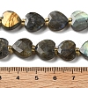 Natural Labradorite Beads Strands G-B044-B21-01-5