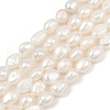 Natural Cultured Freshwater Pearl Beads Strands PEAR-P064-20J-04A-2