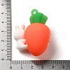 3D Plastic Pendants FIND-Q095-04B-3