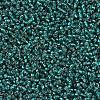 MIYUKI Round Rocailles Beads SEED-X0054-RR0030-2