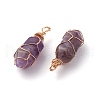 Natural Amethyst Pendants PALLOY-JF00801-4