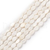 Natural Freshwater Shell Beads Strands BSHE-E028-03-2