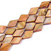 Dyed Natural Freshwater Shell Beads Strands SHEL-T020-13B-1