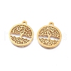 Ion Plating(IP) 304 Stainless Steel Pendants STAS-L245-010B-G-1