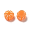 Opaque Resin Imitation Food Decoden Cabochons X-RESI-B015-06-1