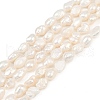 Natural Cultured Freshwater Pearl Beads Strands PEAR-P064-20H-02A-2