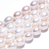 Natural Cultured Freshwater Pearl Beads Strands PEAR-N012-09D-4