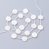 Natural White Shell Beads X-SSHEL-Q298-06-2