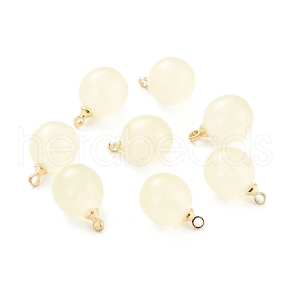 Opaque Resin Charms PALLOY-C157-16-1