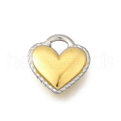 304 Stainless Steel Charms STAS-K252-07GP-1