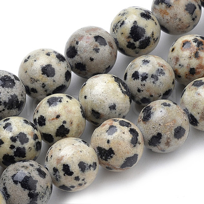 Natural Dalmatian Jasper Beads Strands G-S259-24-12mm-1