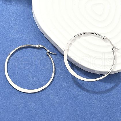 Tarnish Resistant 304 Stainless Steel Big Hoop Earrings EJEW-F105-18P-1