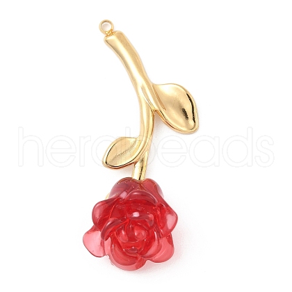 304 Stainless Steel Pendants STAS-F319-09G-03-1