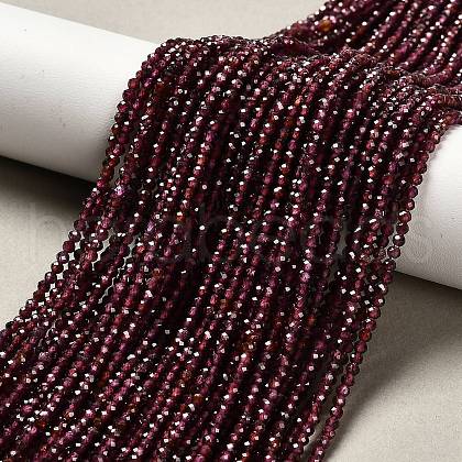 Natural Garnet Beads Strands G-RM2025-11-2mm-1
