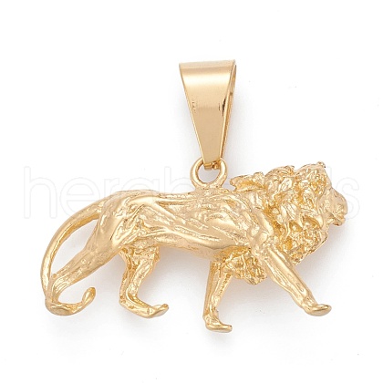 304 Stainless Steel Pendants STAS-I163-057G-1