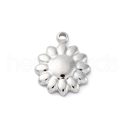 304 Stainless Steel Charms STAS-S163-08A-P-1