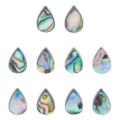 FIBLOOM 10Pcs Abalone Shell/Paua Shell Beads SSHEL-FI0001-01-1